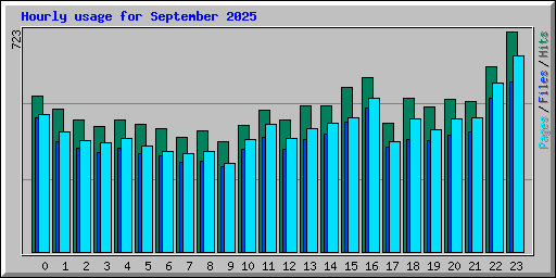 Hourly usage for September 2025