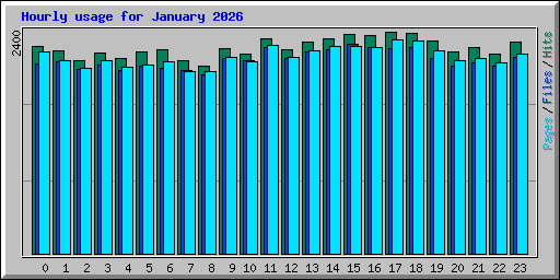 Hourly usage for January 2026
