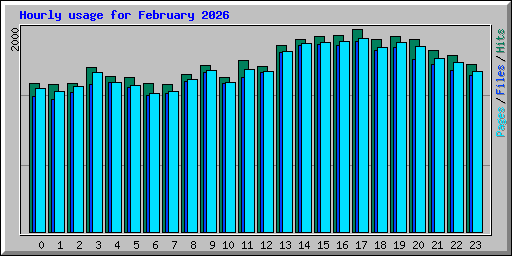 Hourly usage for February 2026